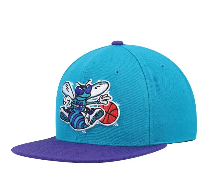 Men's Mitchell & Ness Charlotte Hornets