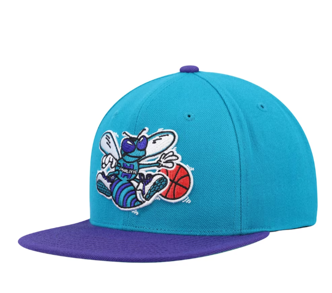 Men's Mitchell & Ness Teal/Purple Charlotte Hornets