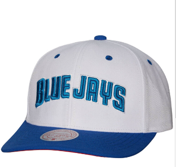 MLB Evergreen Pro Snapback COOP Toronto