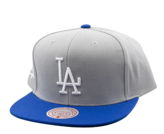 Men's Los Angeles Dodgers Mitchell & Ness Gray Cooperstown